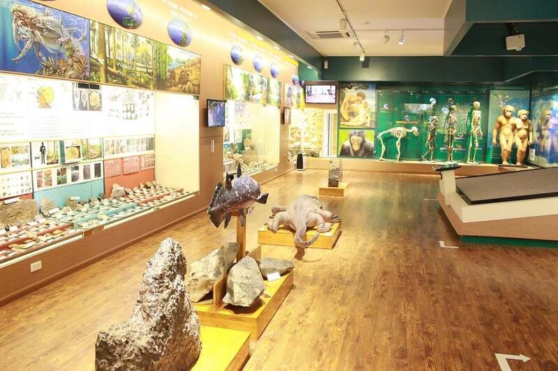 Musée de la nature