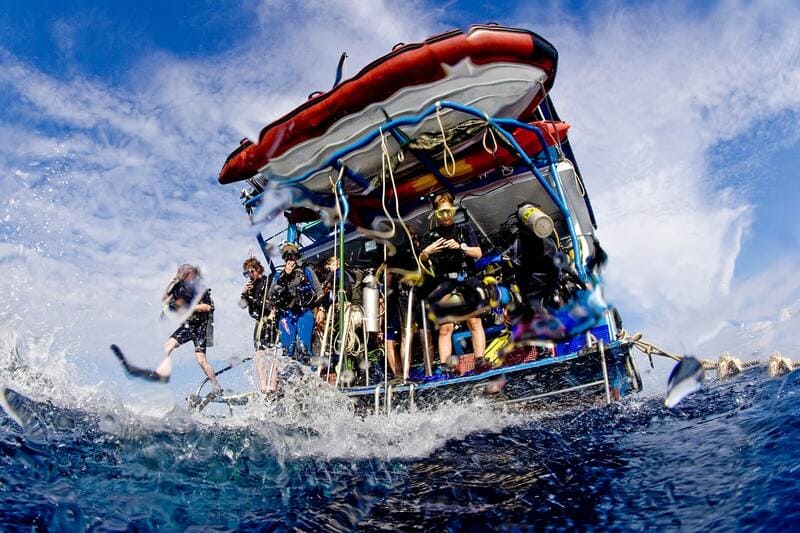 Croisière de plongée