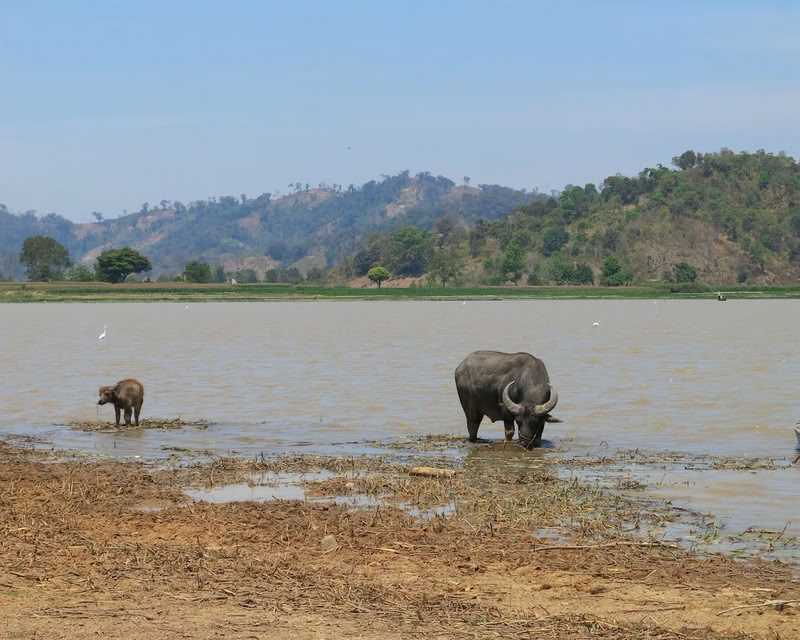 Le lac Lak et la balade en pirogue 1