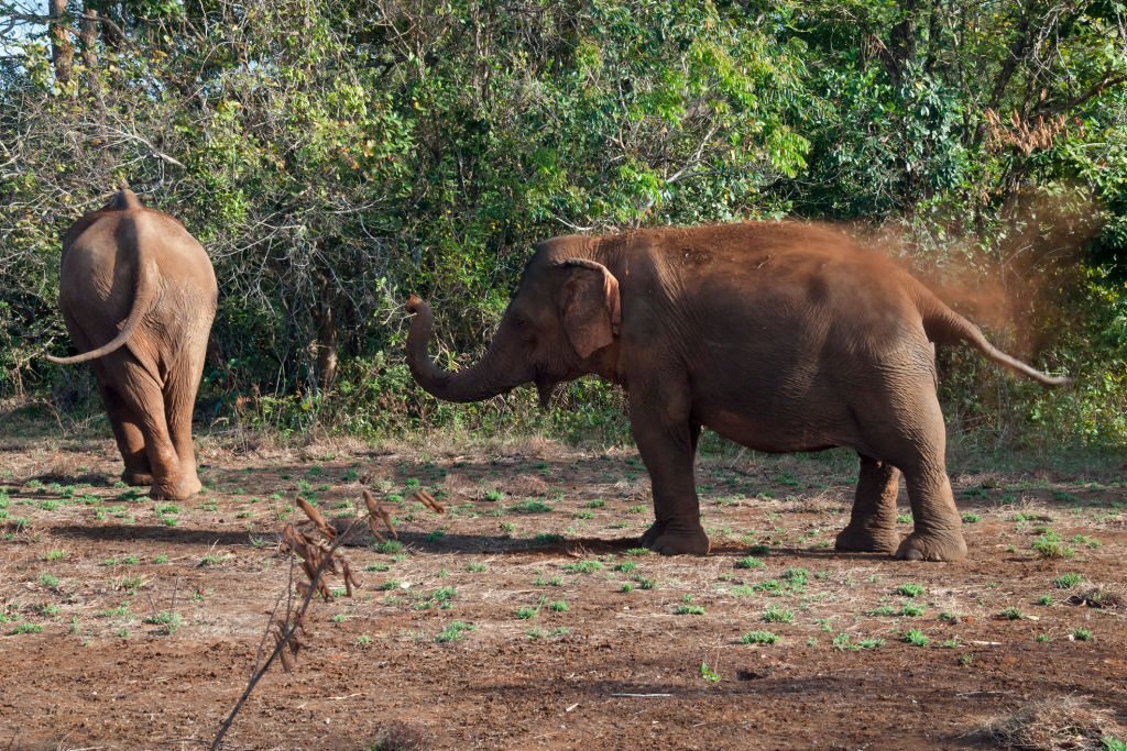 cambodge en 2 semaines