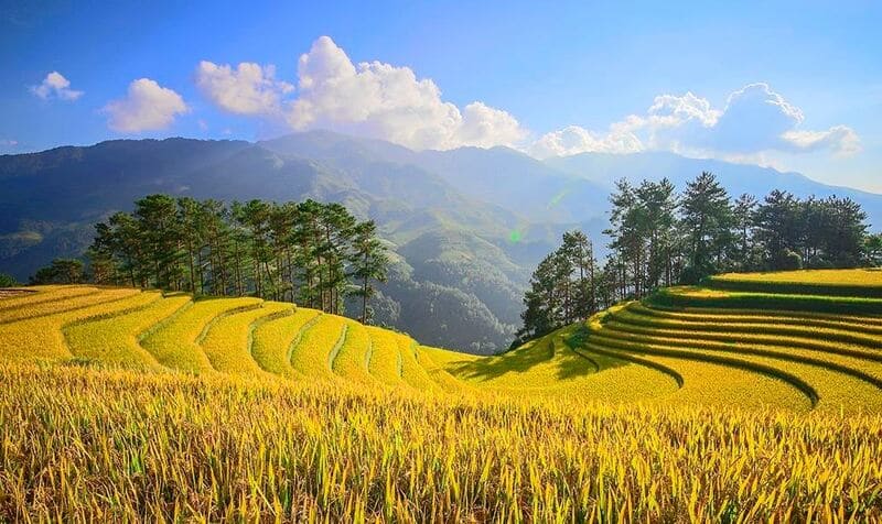 vietnam en septembre