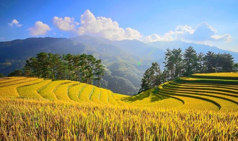 vietnam en septembre