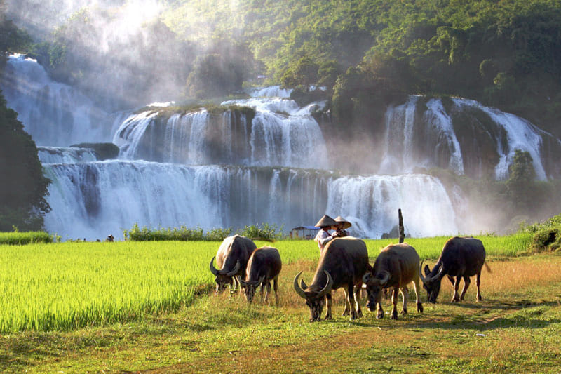 vietnam cao bang