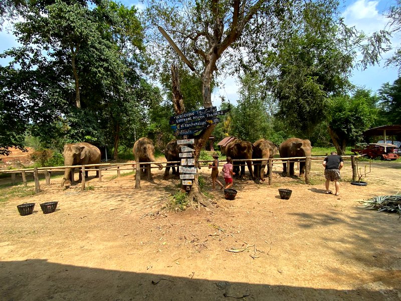 Elephant Haven