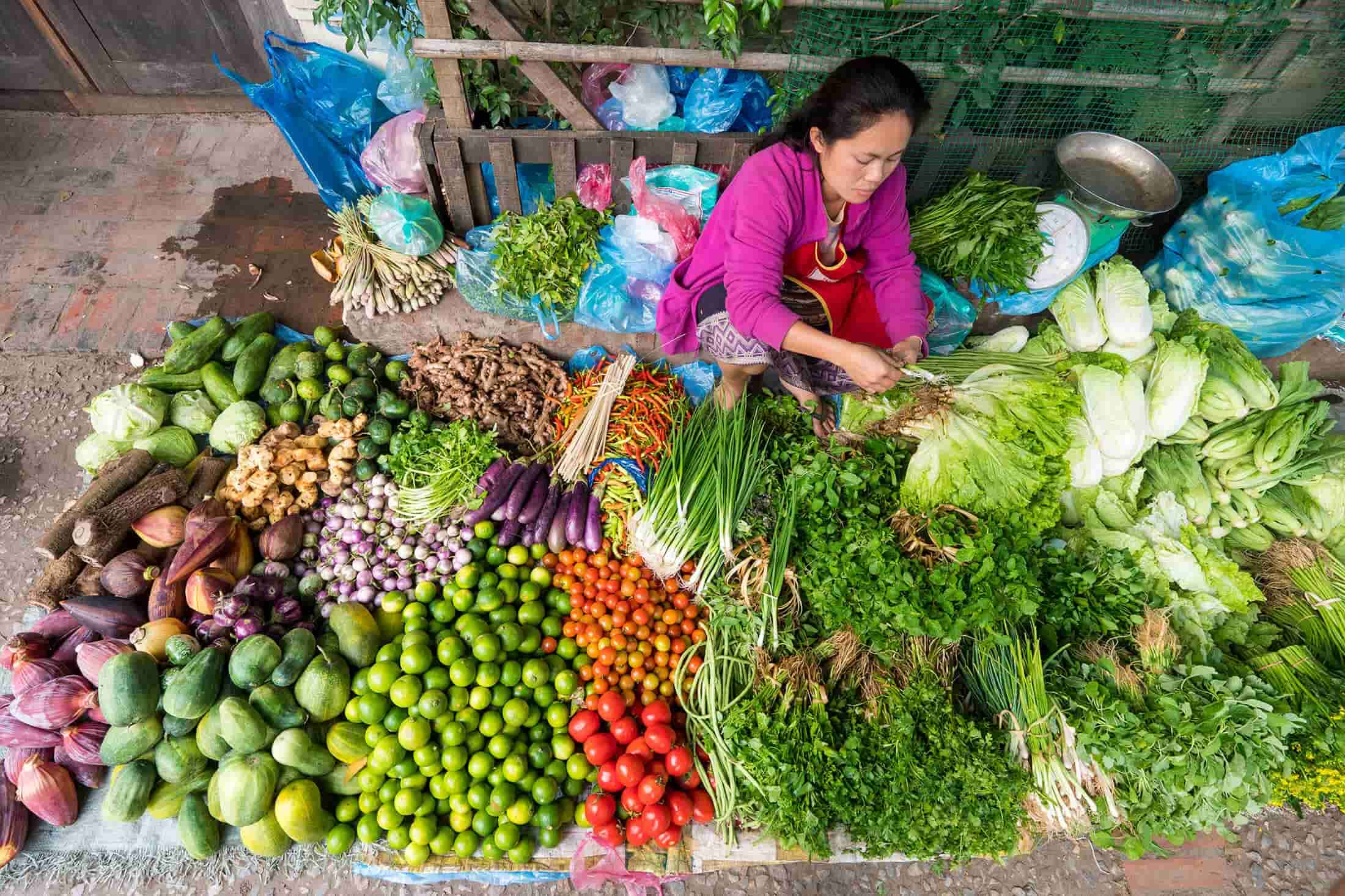 que faire a Luang Prabang