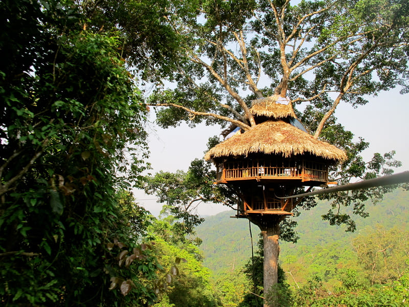 zipline, activités, forêt, Laos, Nord du Laos