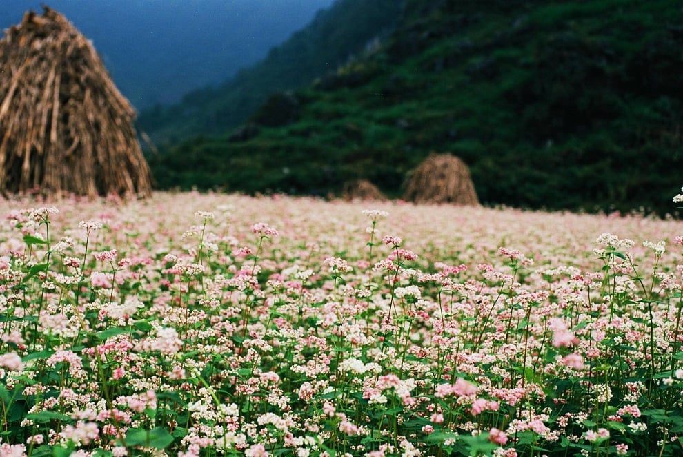 trek ha giang