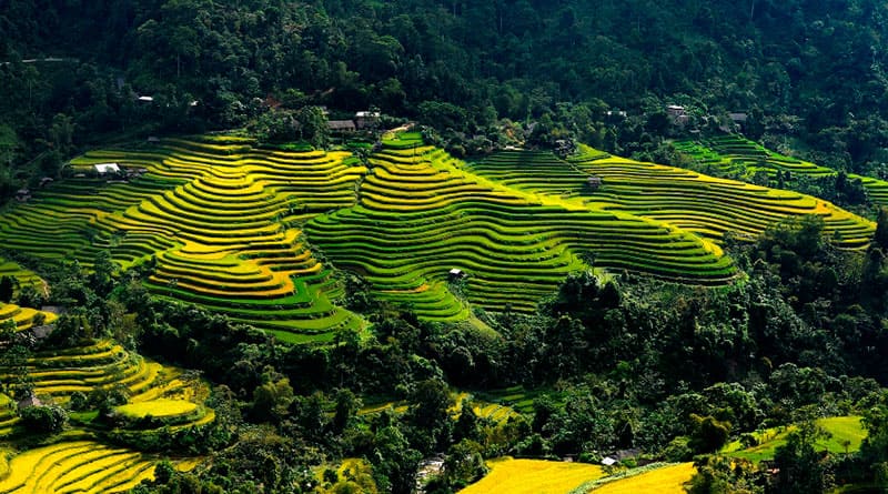 hoang su phi ha giang