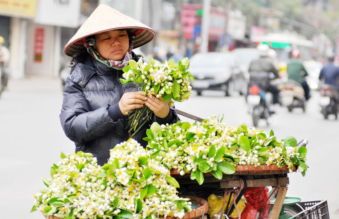 fleurs hanoi