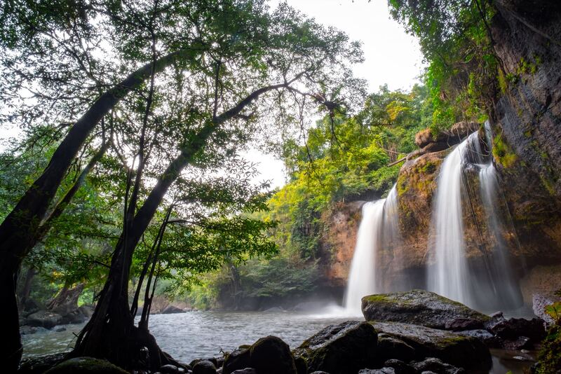 Le parc national de Khao Yai