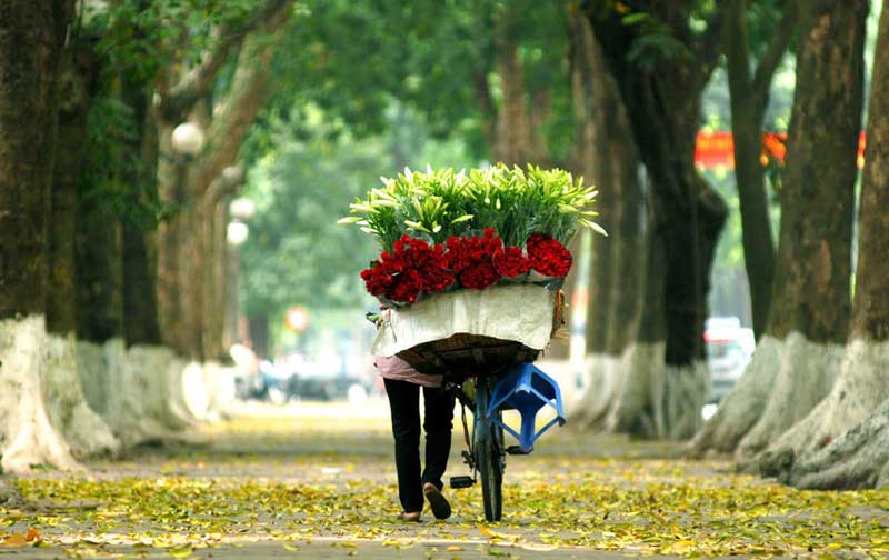 hanoi en automne