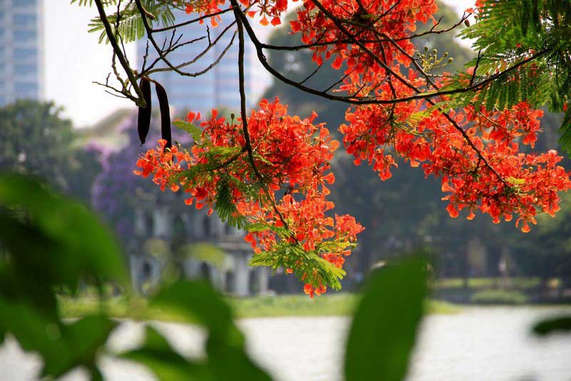 hanoi en ete