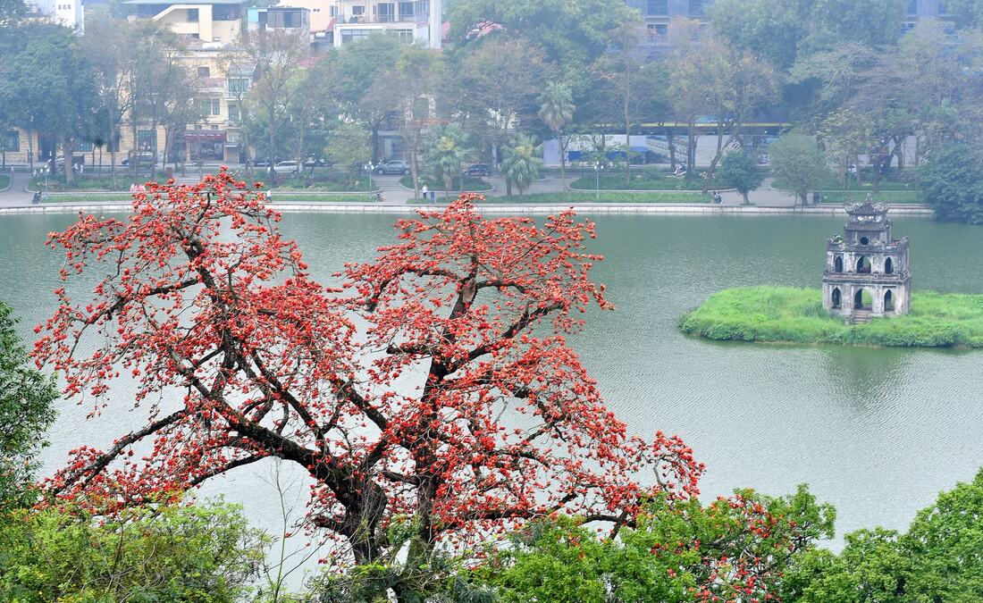 fleurs hanoi
