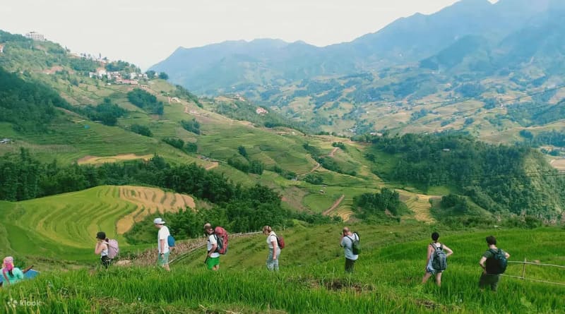 sapa