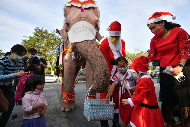 bangkok en decembre