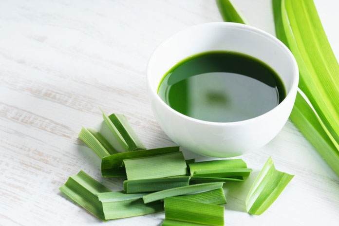 la couleur verte des feuilles de pandanus