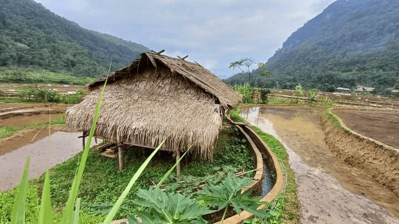 pu luong maison