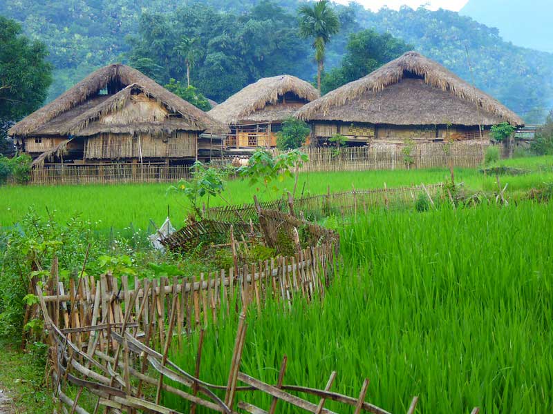 maison sur pilotis au nord du vietnam