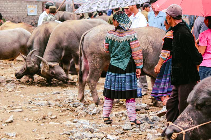 marche bac ha