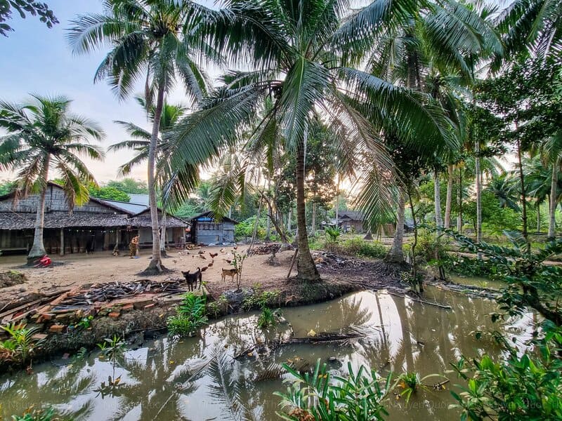 delta du mekong