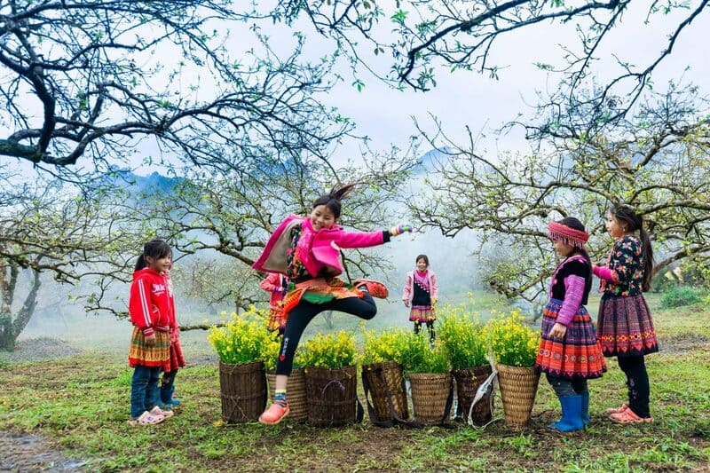 Moc Chau Vietnam