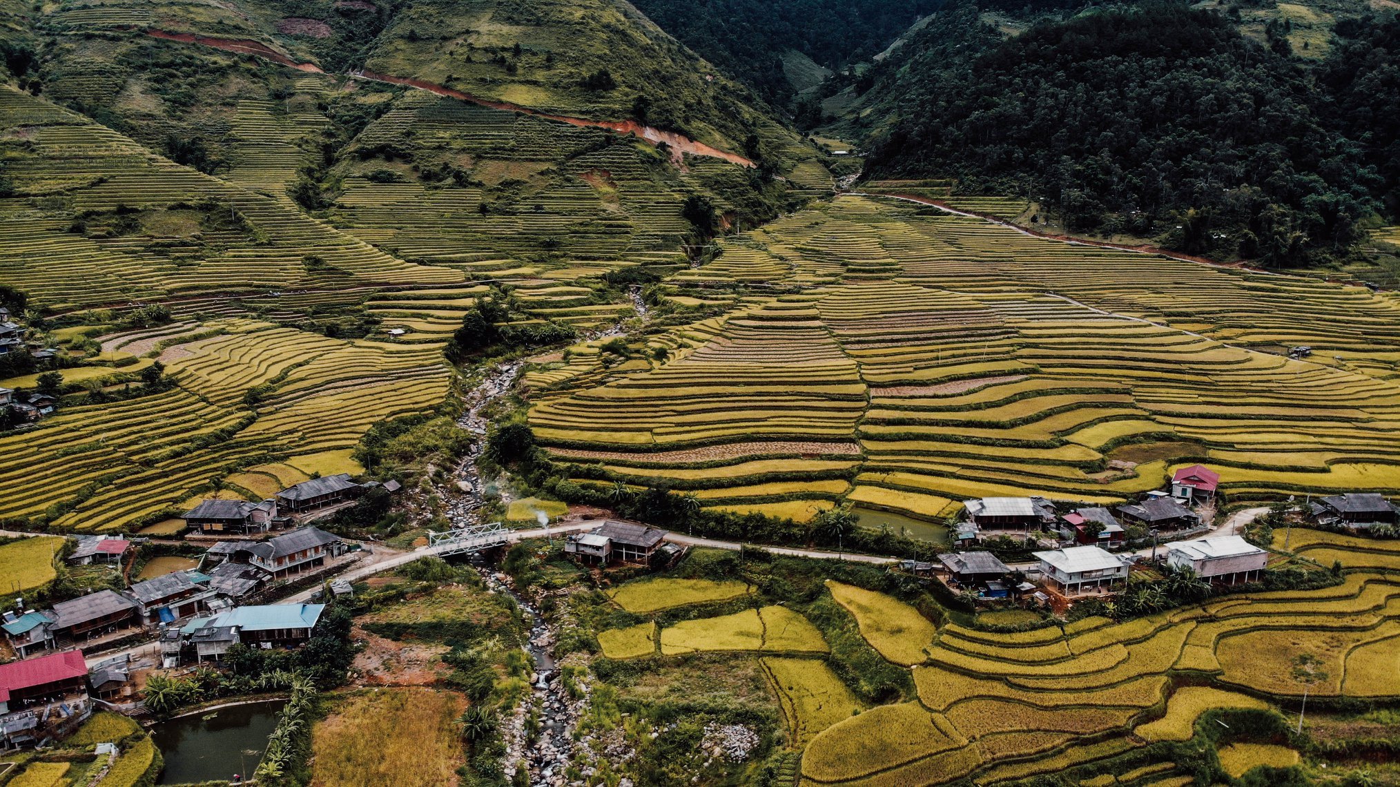 Mu Cang Chai