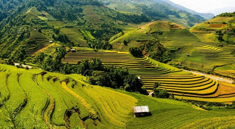 Mu Cang Chai