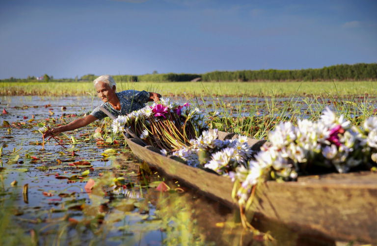 Vinh Long dans la saison de crues