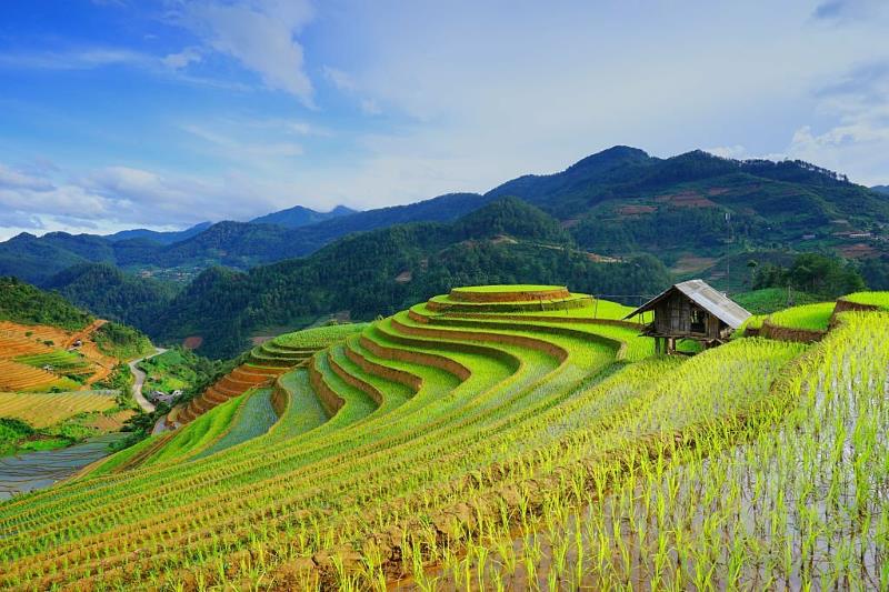 Temps chaud et pluvieux dans le nord du Vietnam d''avril à octobre