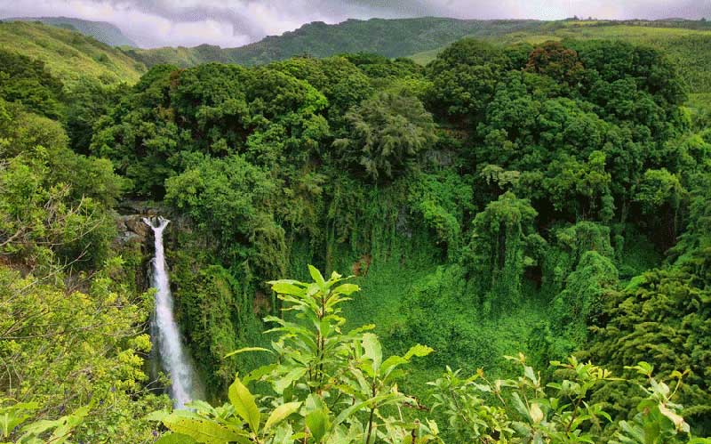 Mondulkiri