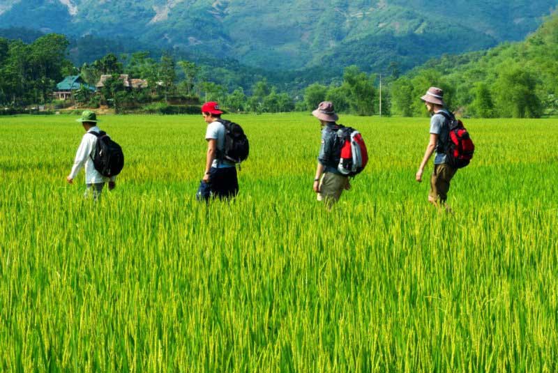 randonnée dans le nord vietnam