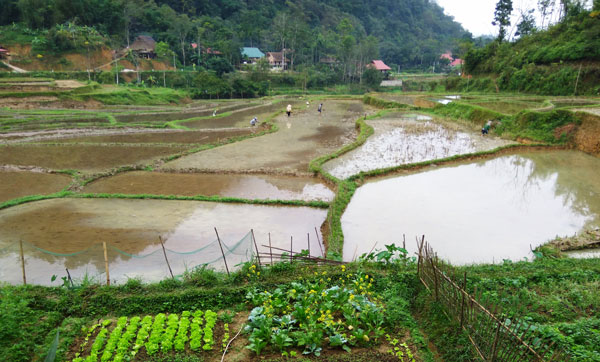 paysages pu luong