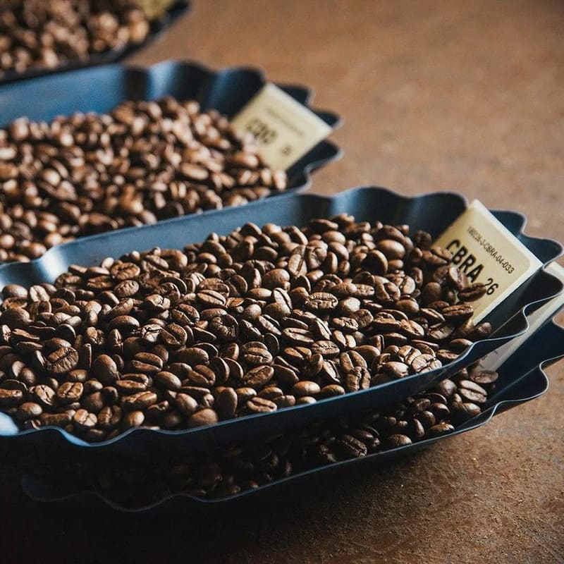 Cafe Black Ivory