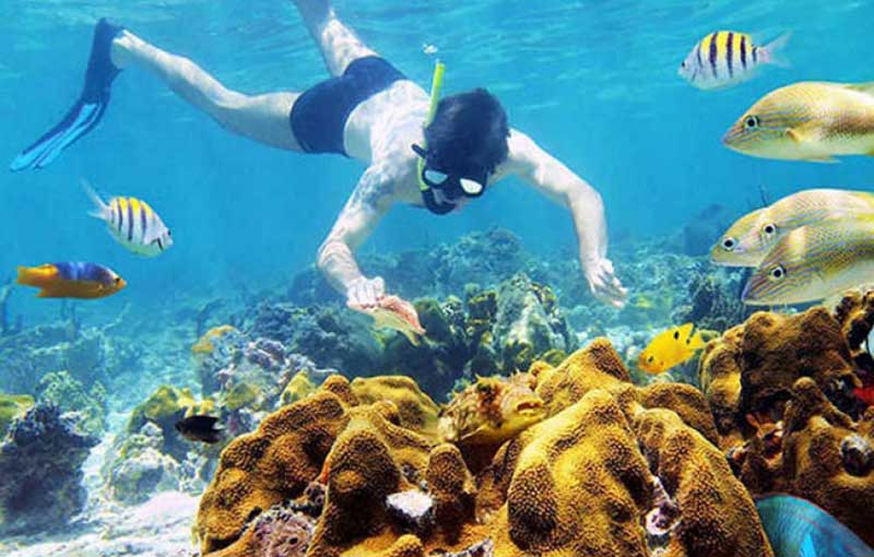 snorkeling l''ile de cham