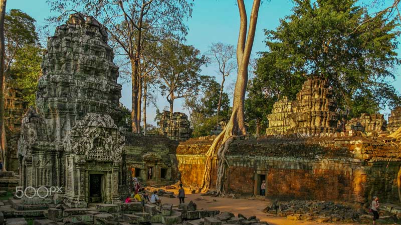 temple de Ta Prohm au Cambodge