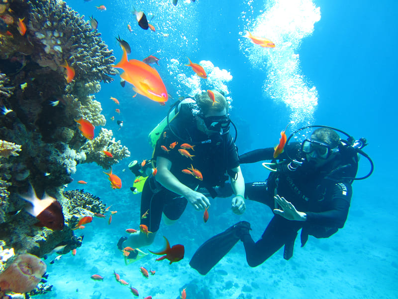 plongee en thailande