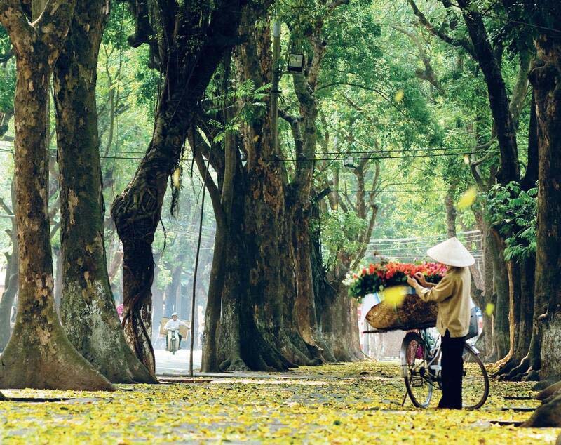 Vietnam nord ou sud