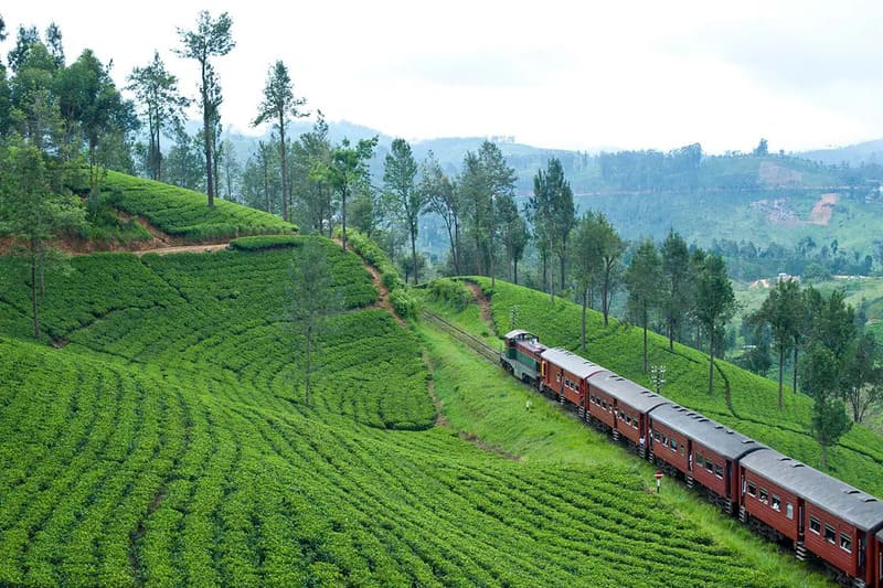 train sri lanka