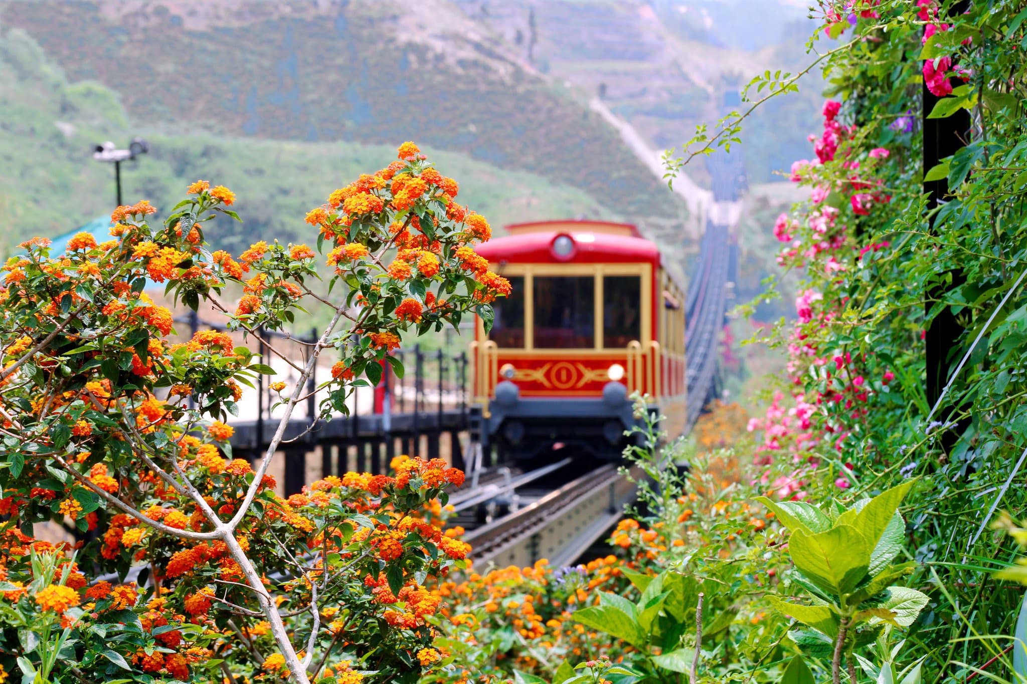 Train de montagne Fansipan