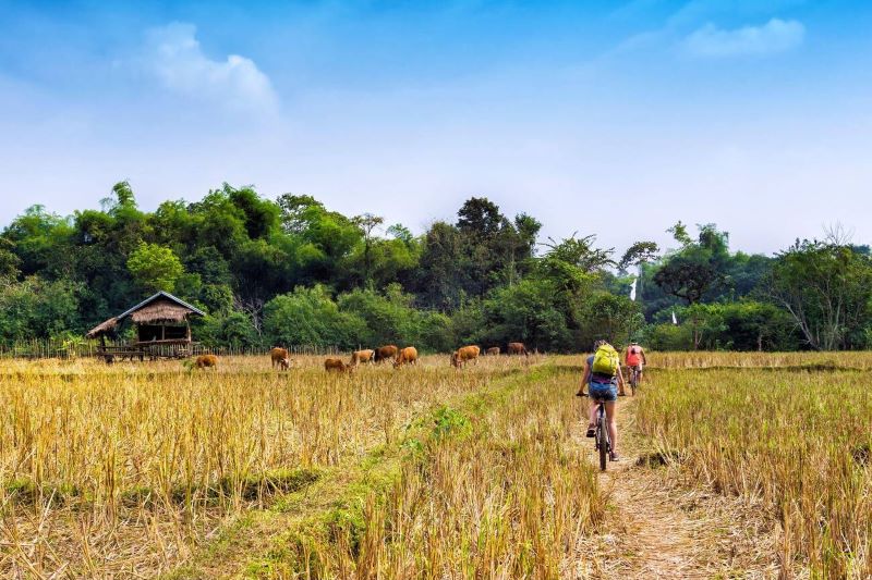 Profitez du paysage poétique en faisant du vélo