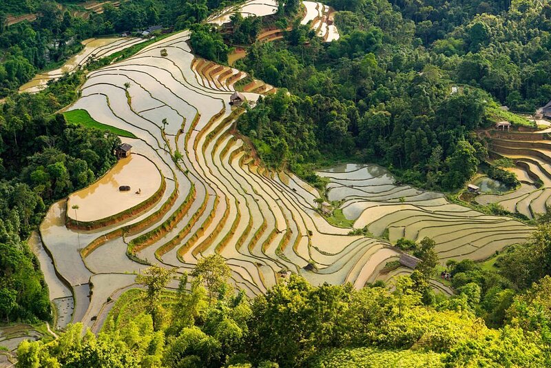 les rizières en terrasse a Mu Cang Chai en mai