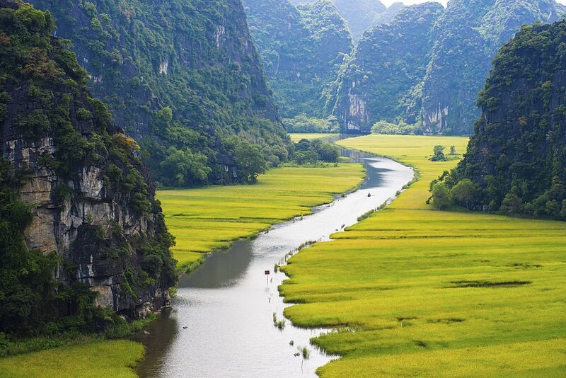 la rizière à Tam Coc Vietnam en mai