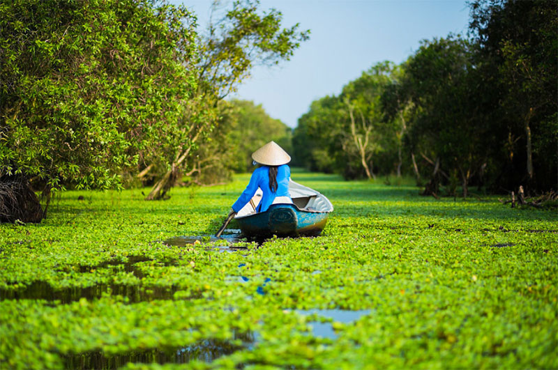 Vietnam en Août delta du mekong 