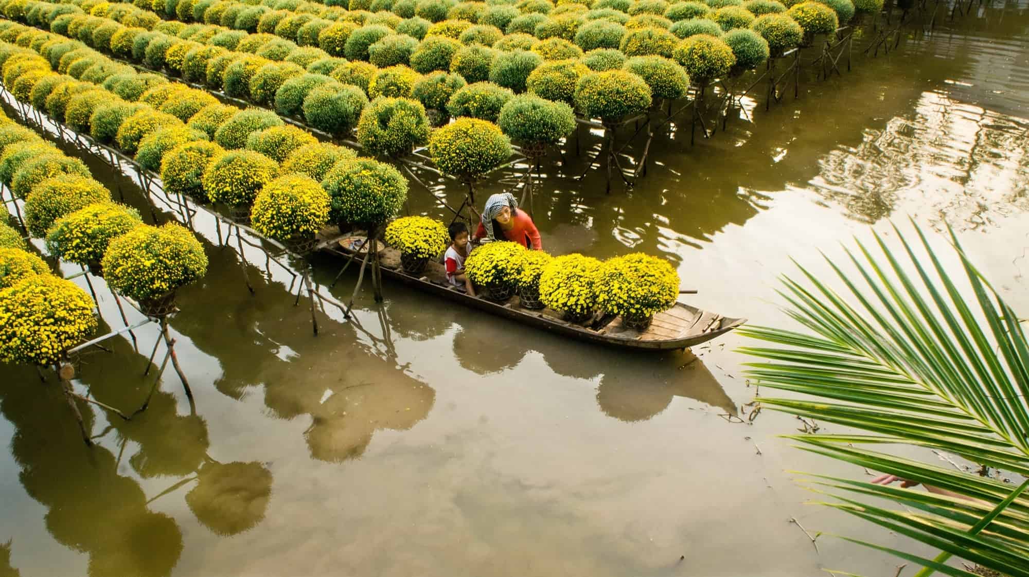 quand partir Sud Vietnam