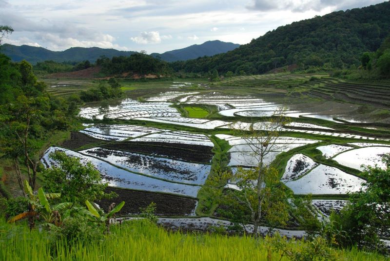 Paysage Agricole près de Ban Nong Pet, Xieng Khouang