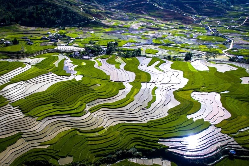 Nord Vietnam, saison de mise en eau, rizière en terrasse