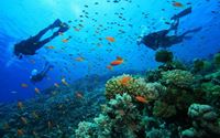 Top des sports nautiques pour votre séjour balnéaire au Vietnam