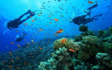 Top des sports nautiques pour votre séjour balnéaire au Vietnam