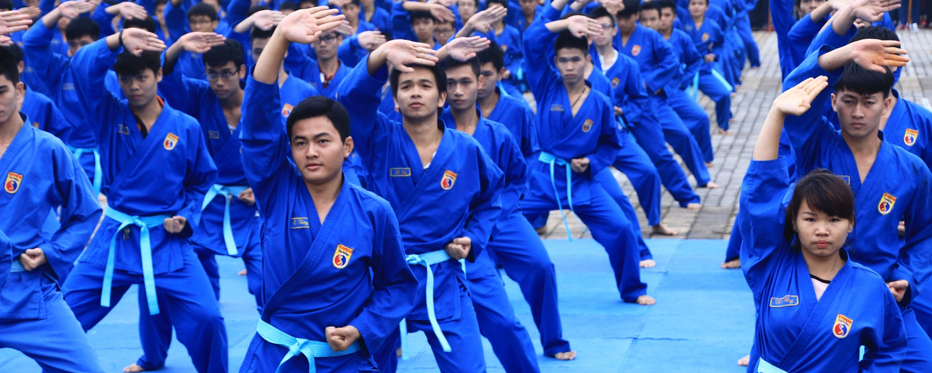 Vovinam : Découvrez le Viet Vo Dao, lart martial du Vietnam