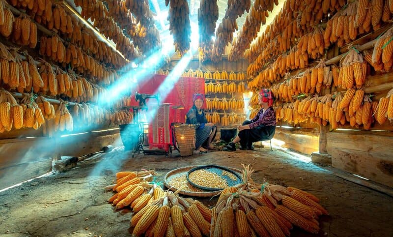 Ethnie Vietnam